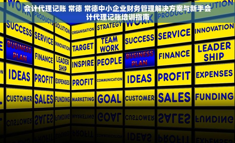 会计代理记账 常德 常德中小企业财务管理解决方案与新手会计代理记账培训指南