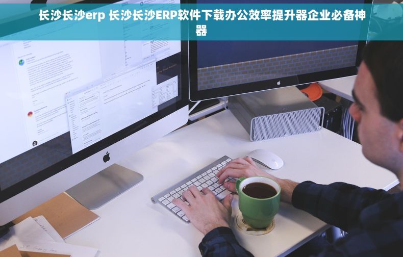 长沙长沙erp 长沙长沙ERP软件下载办公效率提升器企业必备神器