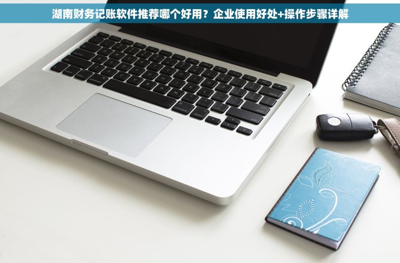 湖南财务记账软件推荐哪个好用？企业使用好处+操作步骤详解