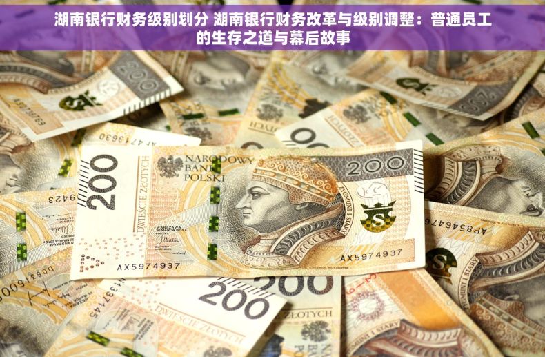 湖南银行财务级别划分 湖南银行财务改革与级别调整：普通员工的生存之道与幕后故事