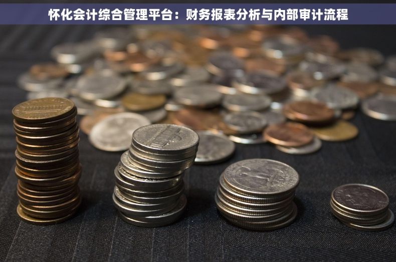 怀化会计综合管理平台：财务报表分析与内部审计流程