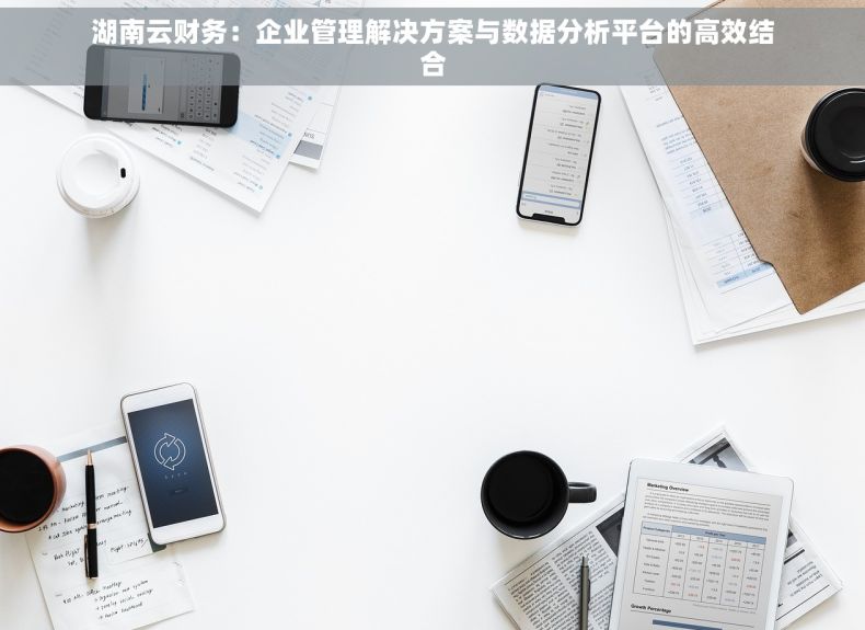 湖南云财务：企业管理解决方案与数据分析平台的高效结合