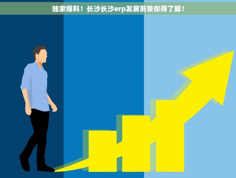 独家爆料！长沙长沙erp发展前景你得了解！