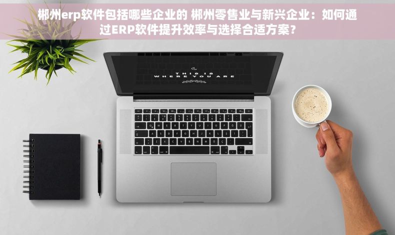 郴州erp软件包括哪些企业的 郴州零售业与新兴企业：如何通过ERP软件提升效率与选择合适方案？