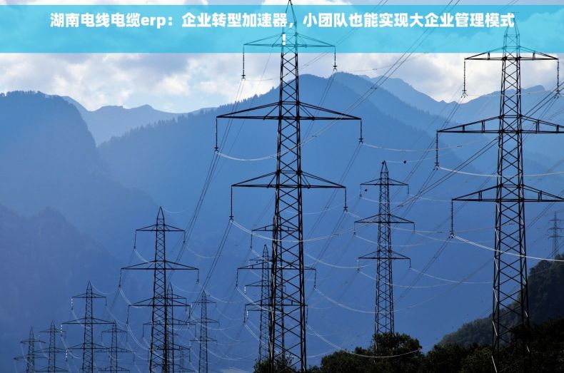 湖南电线电缆erp：企业转型加速器，小团队也能实现大企业管理模式！