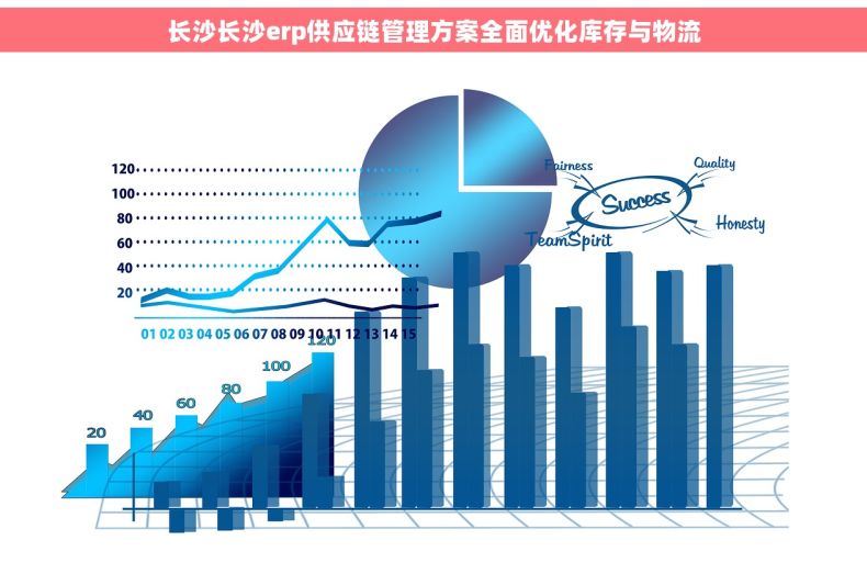 长沙长沙erp供应链管理方案全面优化库存与物流