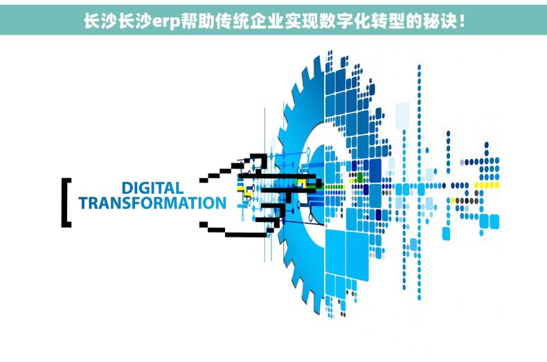 长沙长沙erp帮助传统企业实现数字化转型的秘诀！