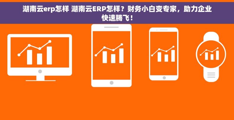 湖南云erp怎样 湖南云ERP怎样？财务小白变专家，助力企业快速腾飞！