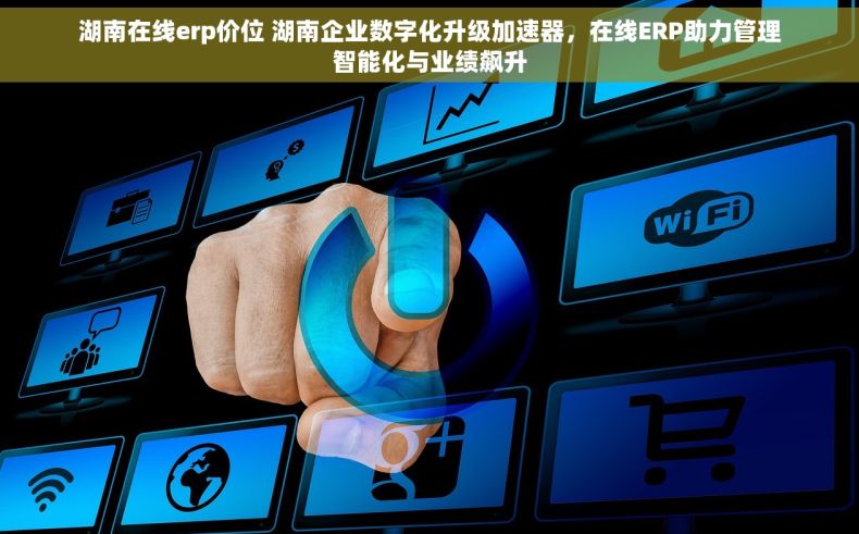 湖南在线erp价位 湖南企业数字化升级加速器，在线ERP助力管理智能化与业绩飙升