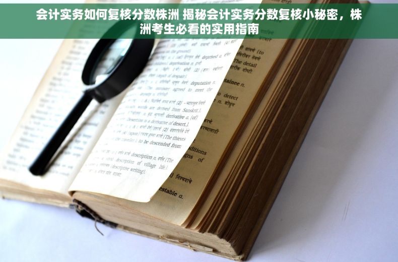 会计实务如何复核分数株洲 揭秘会计实务分数复核小秘密，株洲考生必看的实用指南