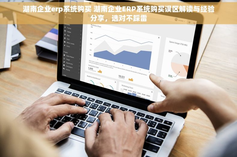 湖南企业erp系统购买 湖南企业ERP系统购买误区解读与经验分享，选对不踩雷