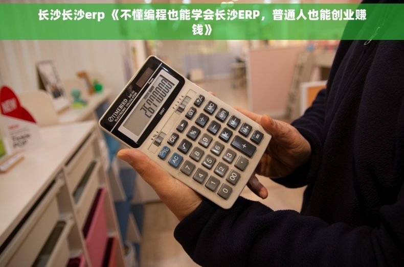 长沙长沙erp 《不懂编程也能学会长沙ERP，普通人也能创业赚钱》
