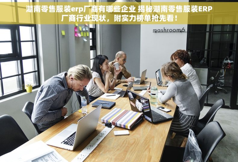 湖南零售服装erp厂商有哪些企业 揭秘湖南零售服装ERP厂商行业现状，附实力榜单抢先看！