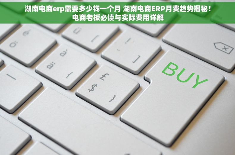 湖南电商erp需要多少钱一个月 湖南电商ERP月费趋势揭秘！电商老板必读与实际费用详解