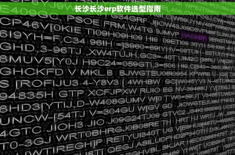 长沙长沙erp软件选型指南