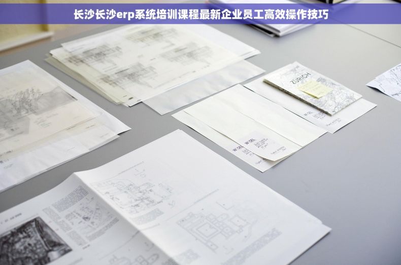 长沙长沙erp系统培训课程最新企业员工高效操作技巧