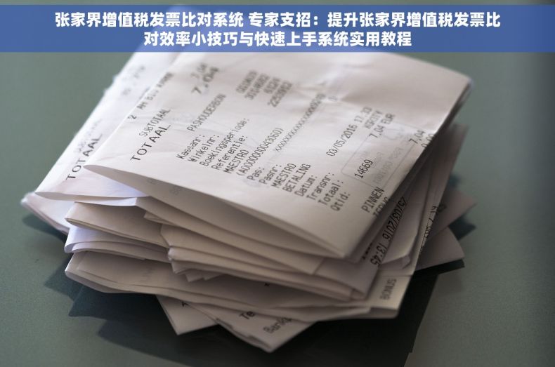 张家界增值税发票比对系统 专家支招：提升张家界增值税发票比对效率小技巧与快速上手系统实用教程