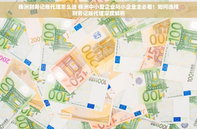 株洲财务记账代理怎么选 株洲中小型企业与小企业主必看！如何选择财务记账代理深度解析