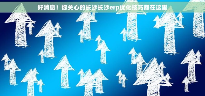 好消息！你关心的长沙长沙erp优化技巧都在这里