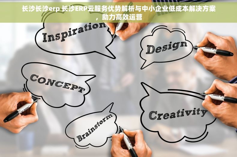 长沙长沙erp 长沙ERP云服务优势解析与中小企业低成本解决方案，助力高效运营