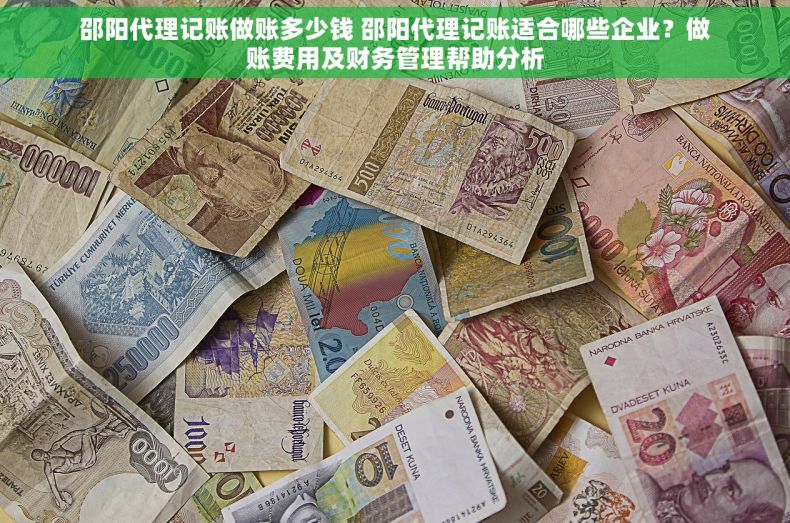 邵阳代理记账做账多少钱 邵阳代理记账适合哪些企业？做账费用及财务管理帮助分析
