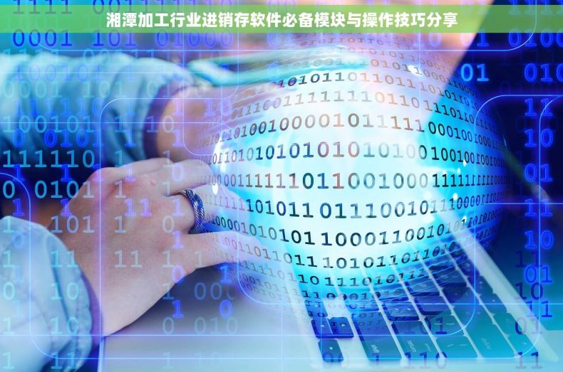 湘潭加工行业进销存软件必备模块与操作技巧分享