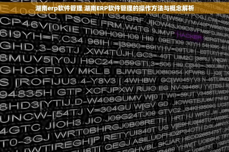 湖南erp软件管理 湖南ERP软件管理的操作方法与概念解析
