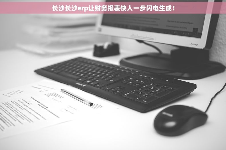 长沙长沙erp让财务报表快人一步闪电生成！