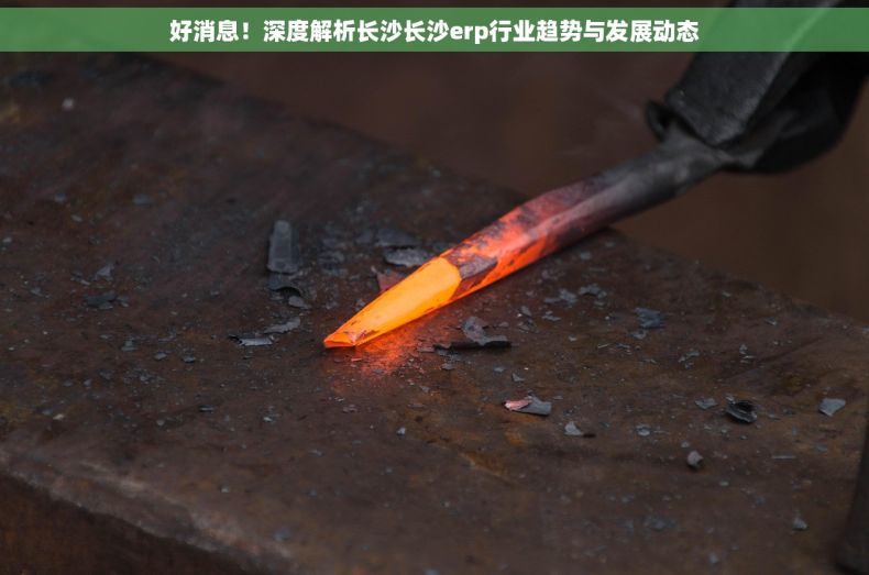 好消息！深度解析长沙长沙erp行业趋势与发展动态