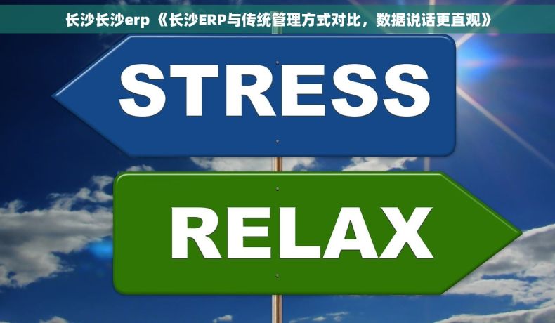 长沙长沙erp 《长沙ERP与传统管理方式对比，数据说话更直观》