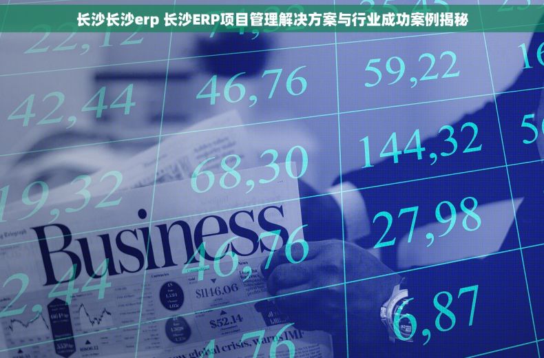 长沙长沙erp 长沙ERP项目管理解决方案与行业成功案例揭秘