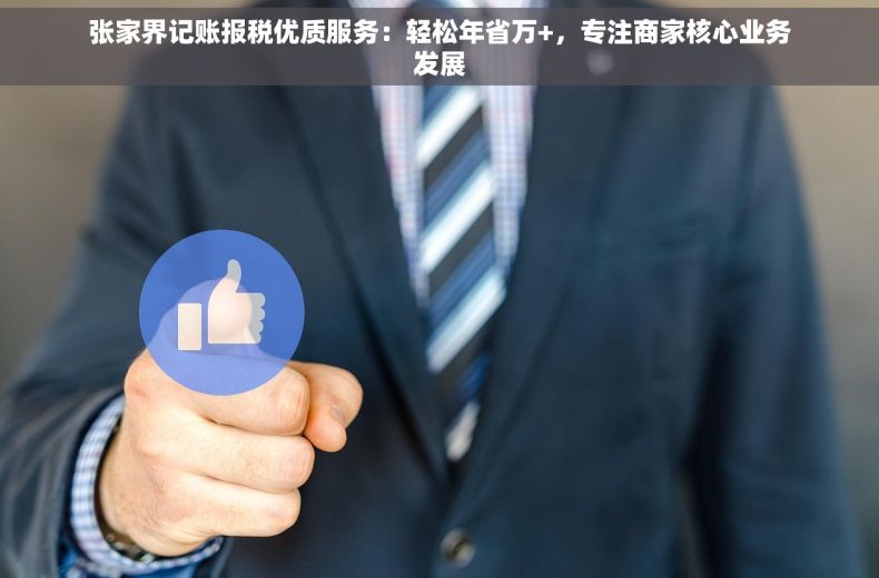 张家界记账报税优质服务：轻松年省万+，专注商家核心业务发展