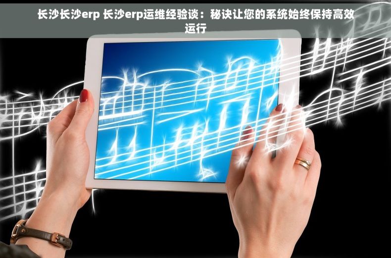 长沙长沙erp 长沙erp运维经验谈：秘诀让您的系统始终保持高效运行