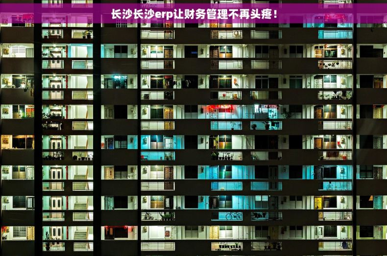 长沙长沙erp让财务管理不再头疼！