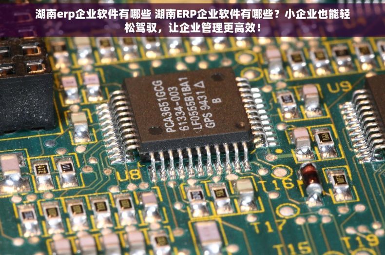 湖南erp企业软件有哪些 湖南ERP企业软件有哪些？小企业也能轻松驾驭，让企业管理更高效！