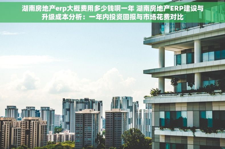 湖南房地产erp大概费用多少钱啊一年 湖南房地产ERP建设与升级成本分析：一年内投资回报与市场花费对比