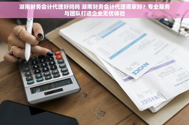 湖南财务会计代理好吗吗 湖南财务会计代理哪家好？专业服务与团队打造企业无忧体验