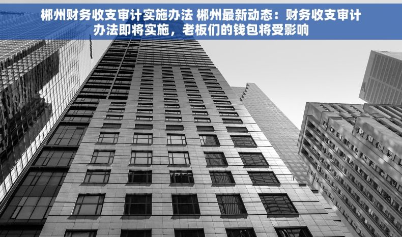 郴州财务收支审计实施办法 郴州最新动态：财务收支审计办法即将实施，老板们的钱包将受影响