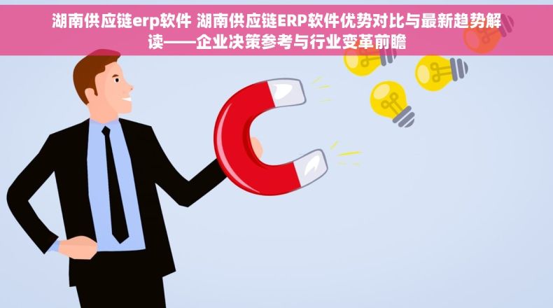 湖南供应链erp软件 湖南供应链ERP软件优势对比与最新趋势解读——企业决策参考与行业变革前瞻