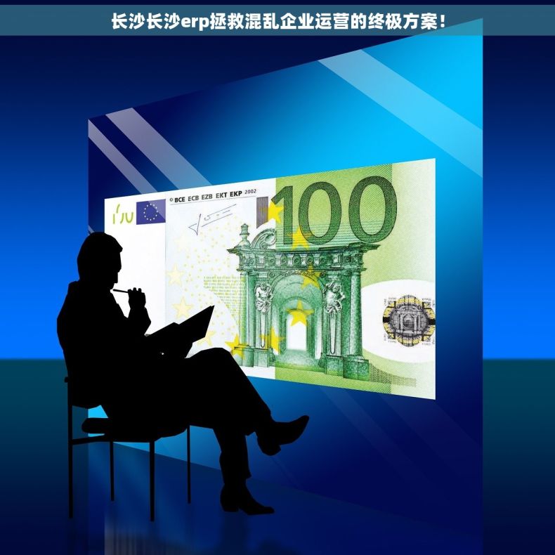 长沙长沙erp拯救混乱企业运营的终极方案！