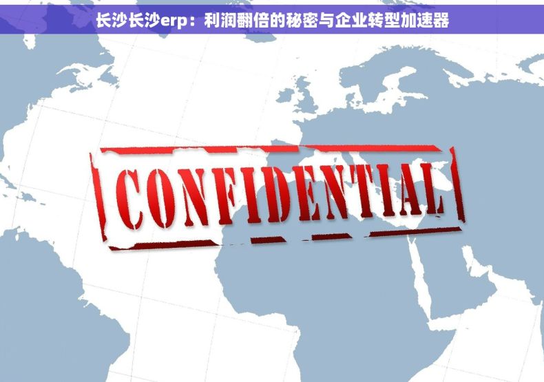 长沙长沙erp：利润翻倍的秘密与企业转型加速器