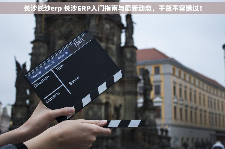 长沙长沙erp 长沙ERP入门指南与最新动态，干货不容错过！