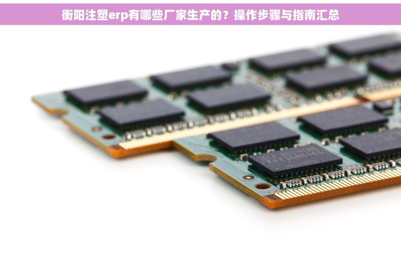 衡阳注塑erp有哪些厂家生产的？操作步骤与指南汇总