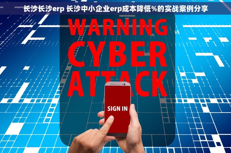 长沙长沙erp 长沙中小企业erp成本降低%的实战案例分享