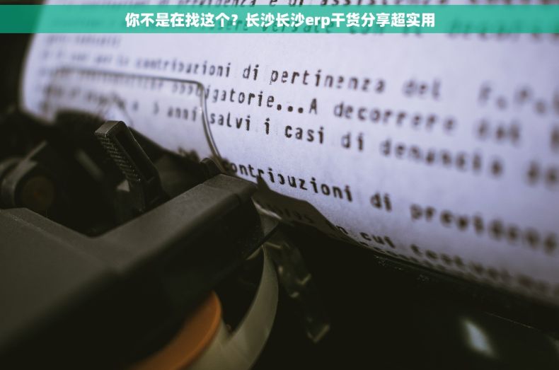 你不是在找这个？长沙长沙erp干货分享超实用