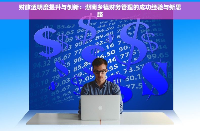 财政透明度提升与创新：湖南乡镇财务管理的成功经验与新思路