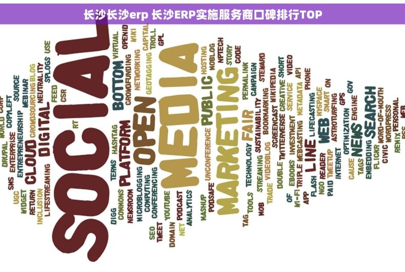 长沙长沙erp 长沙ERP实施服务商口碑排行TOP