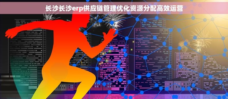 长沙长沙erp供应链管理优化资源分配高效运营