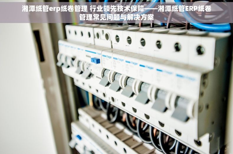 湘潭纸管erp纸卷管理 行业领先技术保障——湘潭纸管ERP纸卷管理常见问题与解决方案