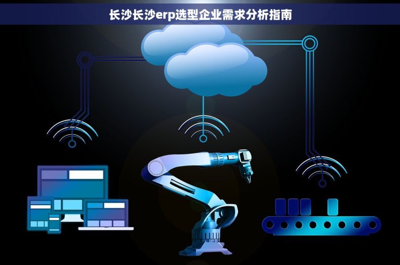 长沙长沙erp选型企业需求分析指南